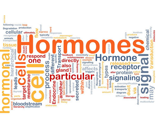 Το Χημείο μας είναι σε θέση να προσδιορίσει τις ορμόνες που υπάρχουν σε συμπληρώματα διατροφής.
